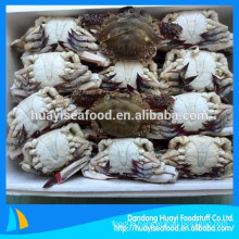 we are famous for frozen blue swimming crab